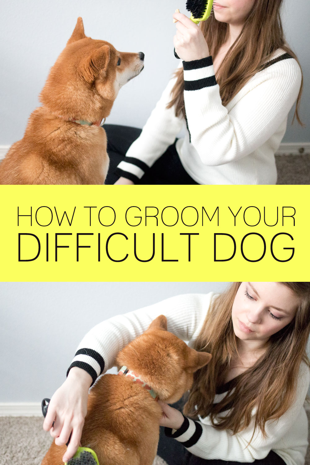 Best Dog Grooming For Difficult Dogs of all time Check it out now 