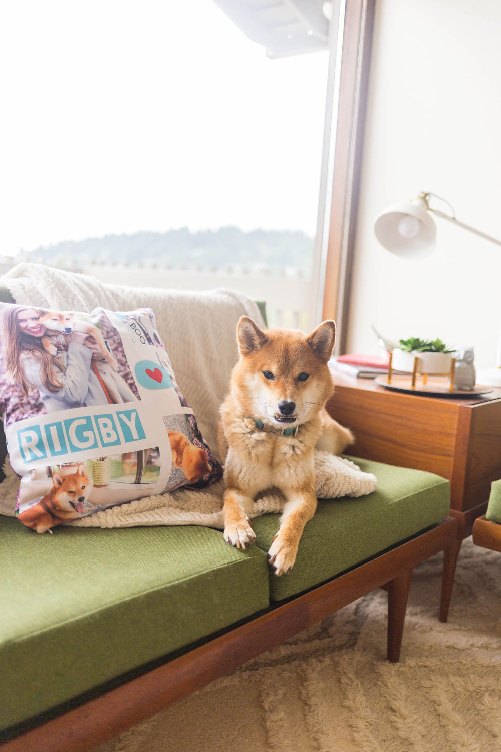 5 Easy Personalized Gifts for Pet Lovers – Hello Rigby Seattle Fashion
